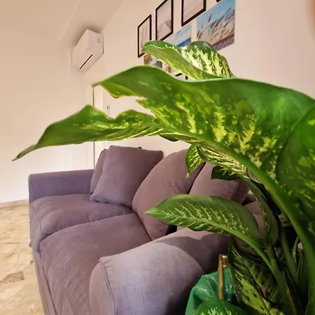 Casetta Dante * Ravenne